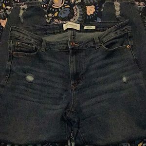 Celebrity Pink Jeans size 13/31